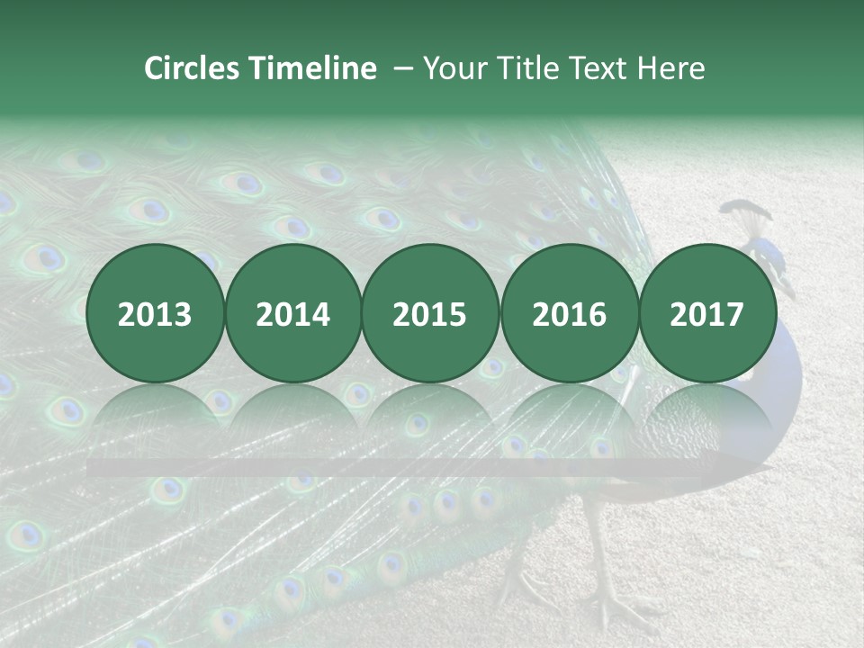 Peacock PowerPoint Template