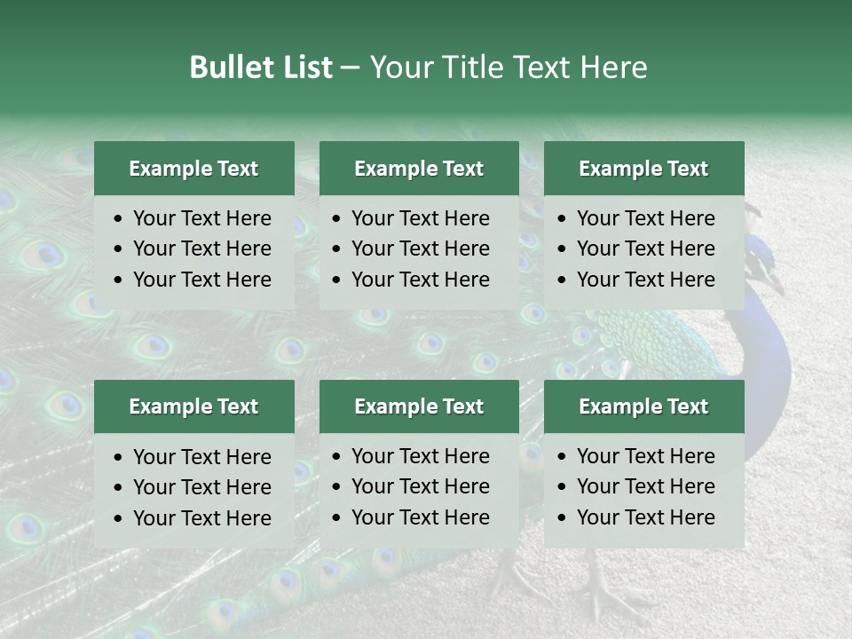 Peacock PowerPoint Template