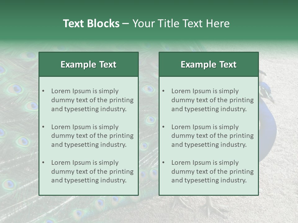 Peacock PowerPoint Template