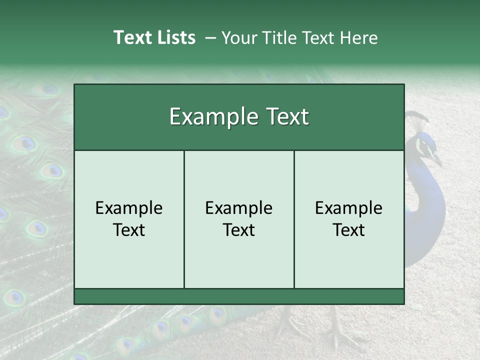 Peacock PowerPoint Template