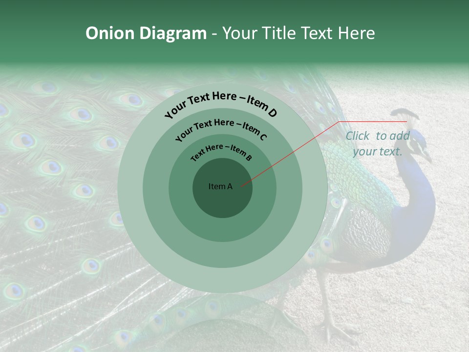 Peacock PowerPoint Template