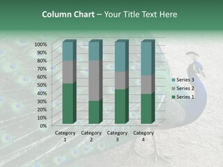 Peacock PowerPoint Template