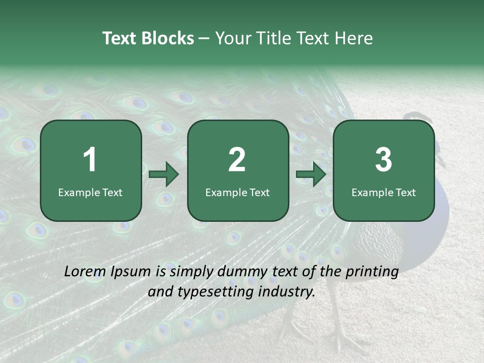 Peacock PowerPoint Template