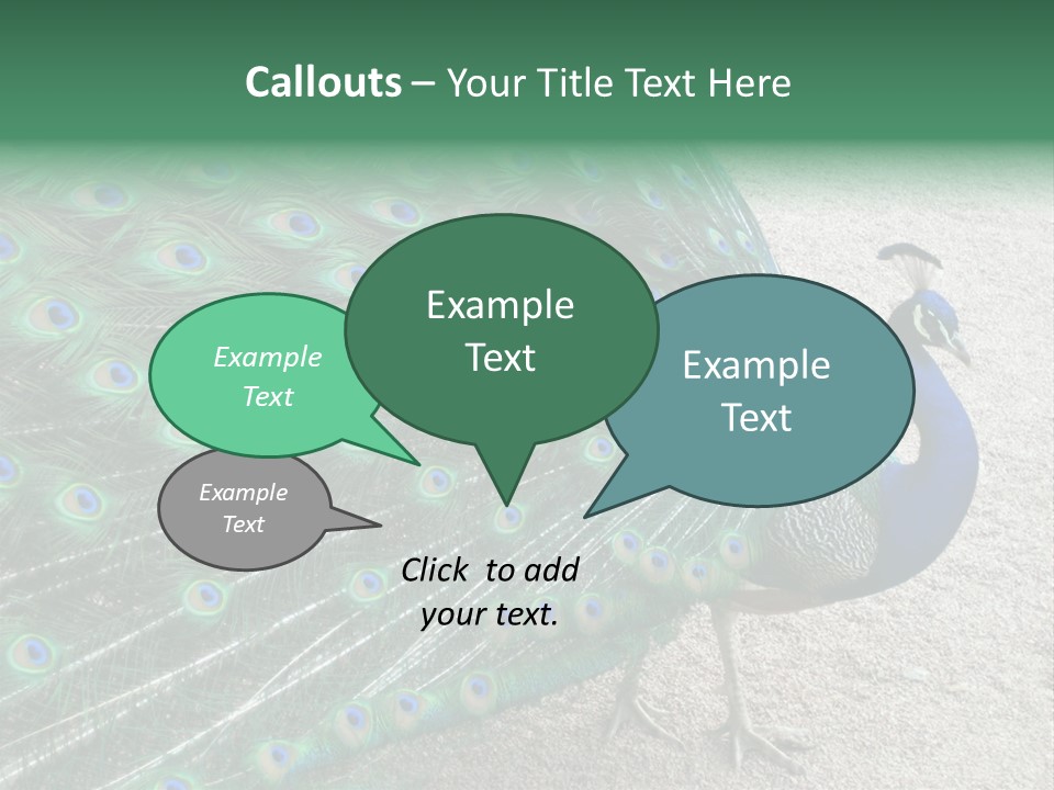 Peacock PowerPoint Template