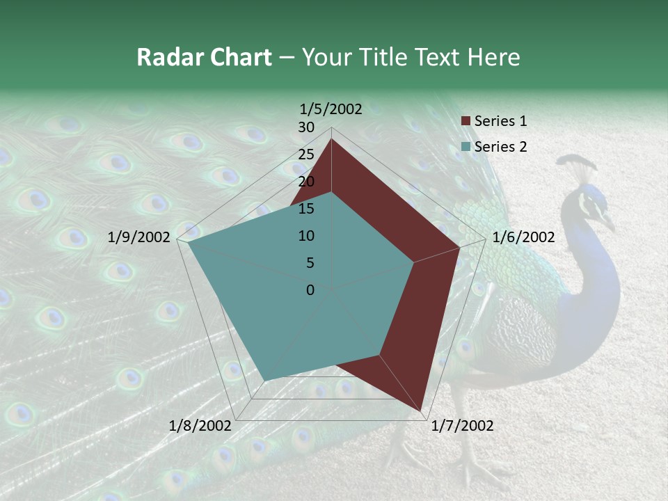 Peacock PowerPoint Template