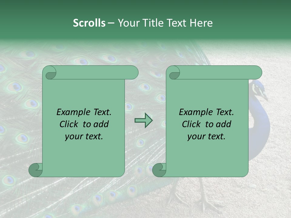 Peacock PowerPoint Template