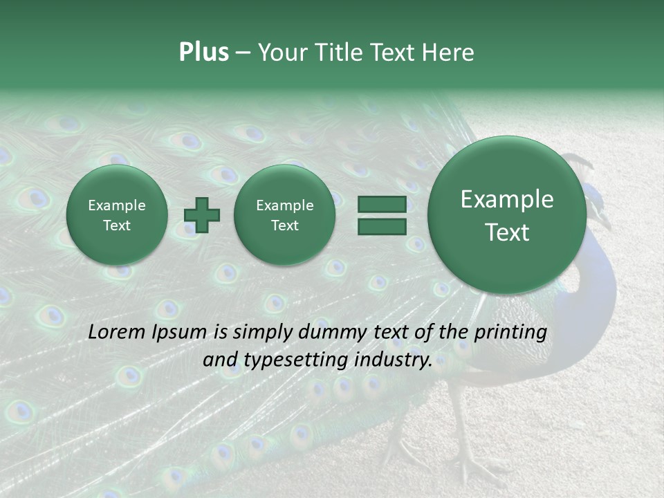 Peacock PowerPoint Template