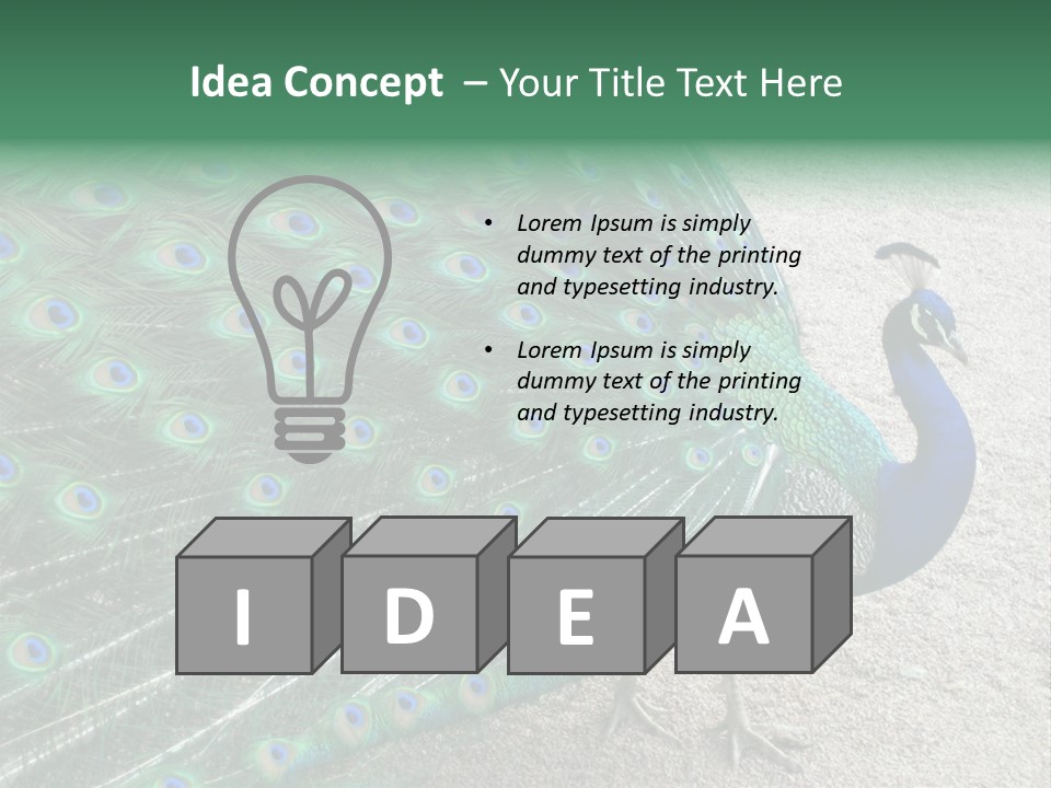 Peacock PowerPoint Template