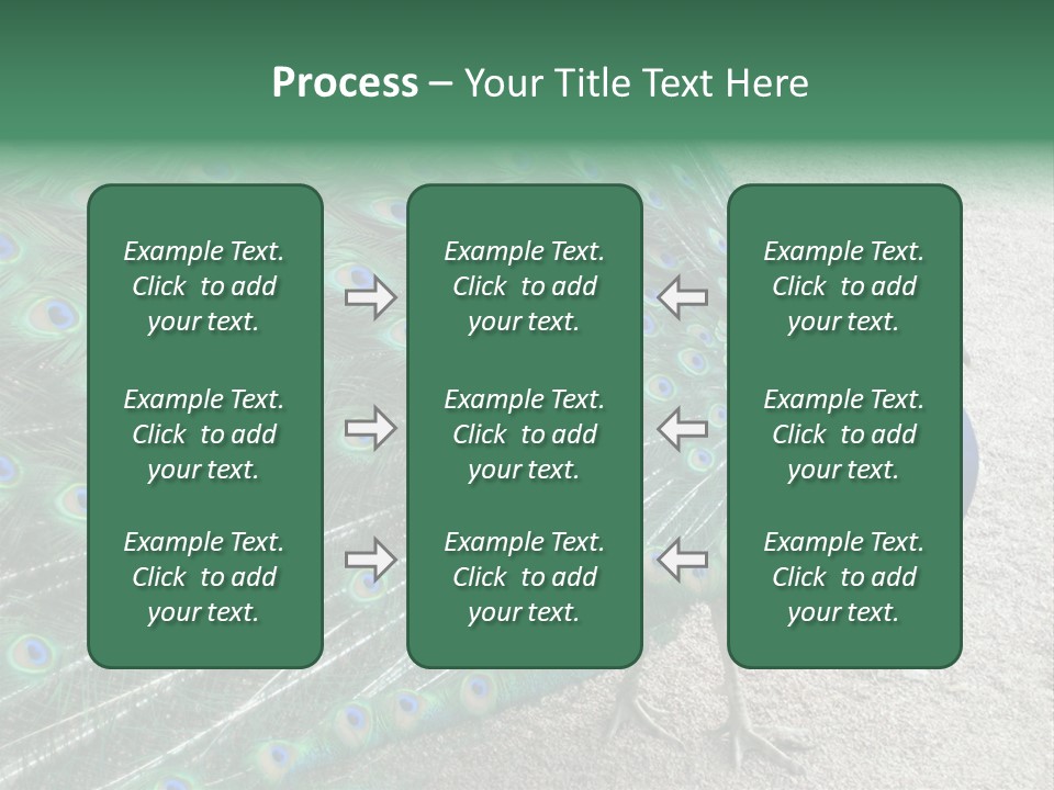 Peacock PowerPoint Template