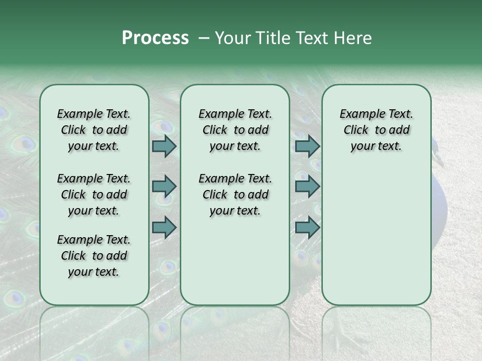 Peacock PowerPoint Template
