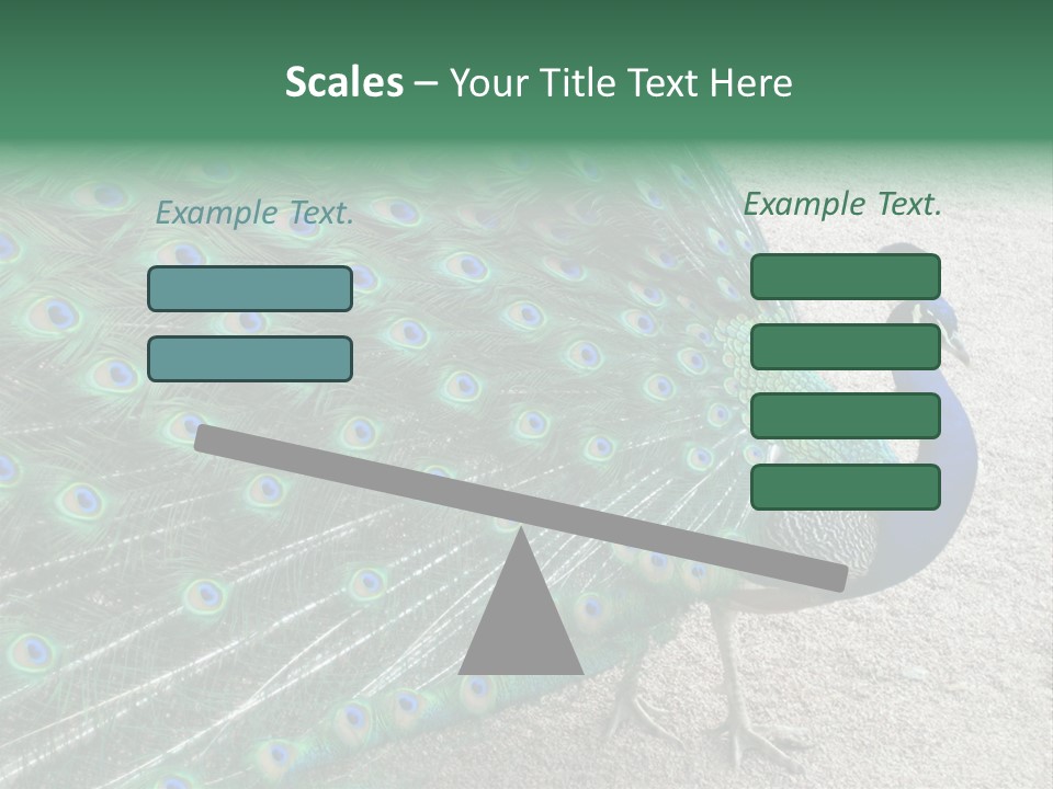 Peacock PowerPoint Template