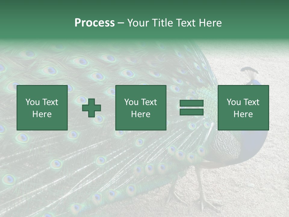 Peacock PowerPoint Template