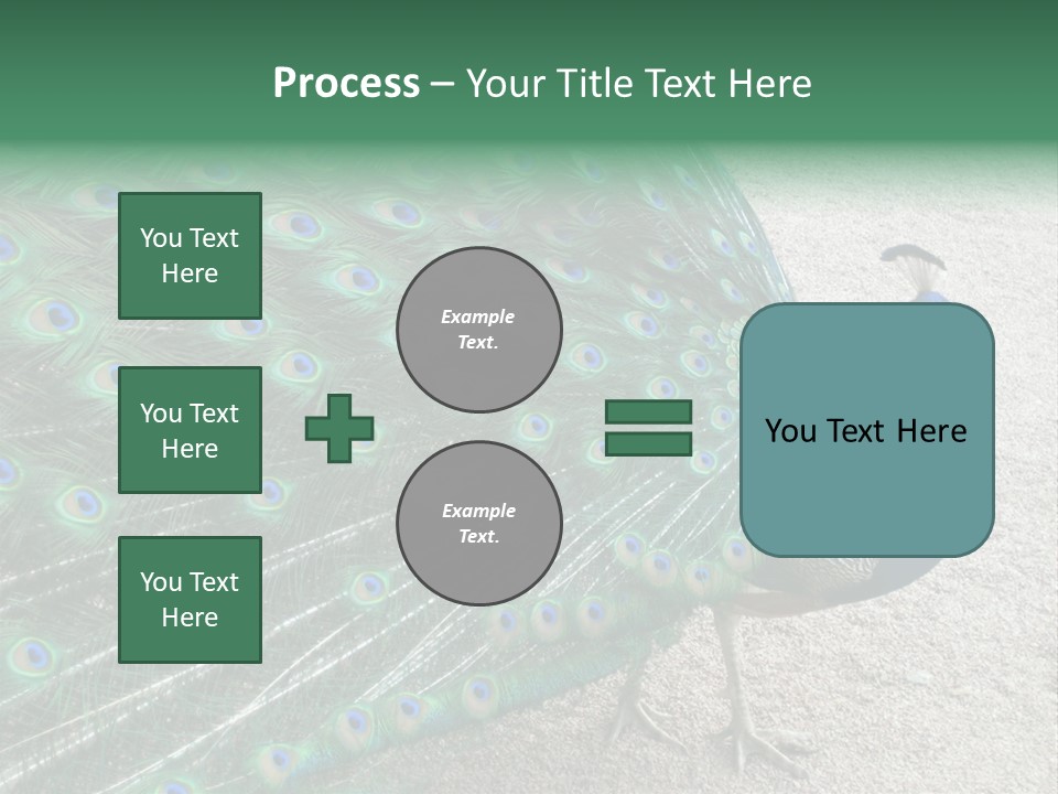 Peacock PowerPoint Template