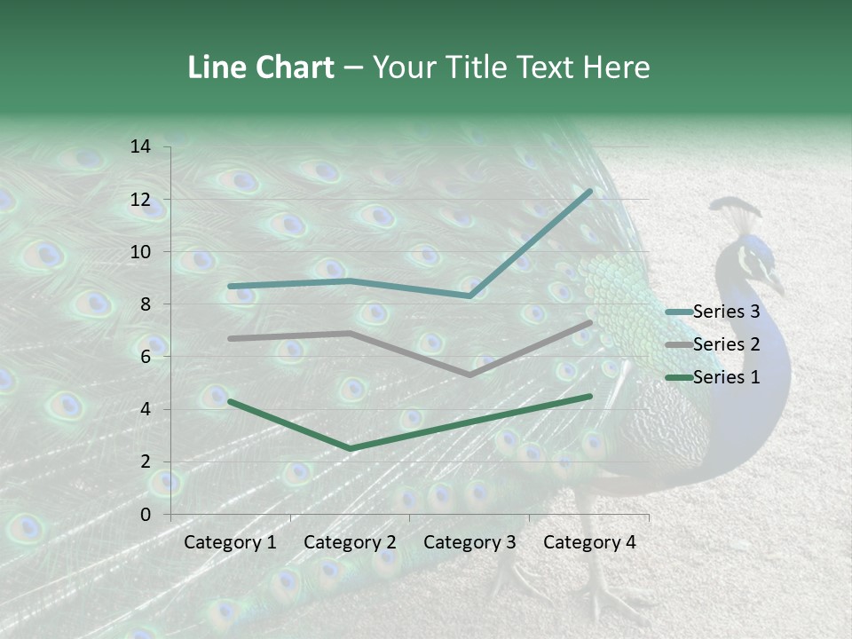 Peacock PowerPoint Template