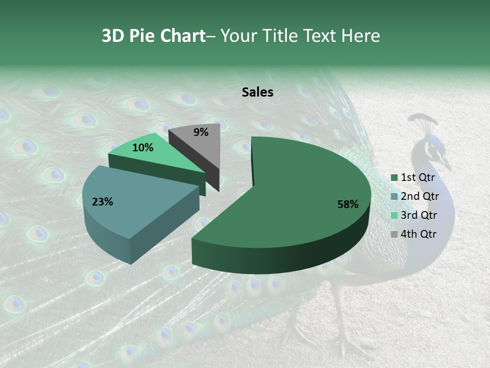 Peacock PowerPoint Template