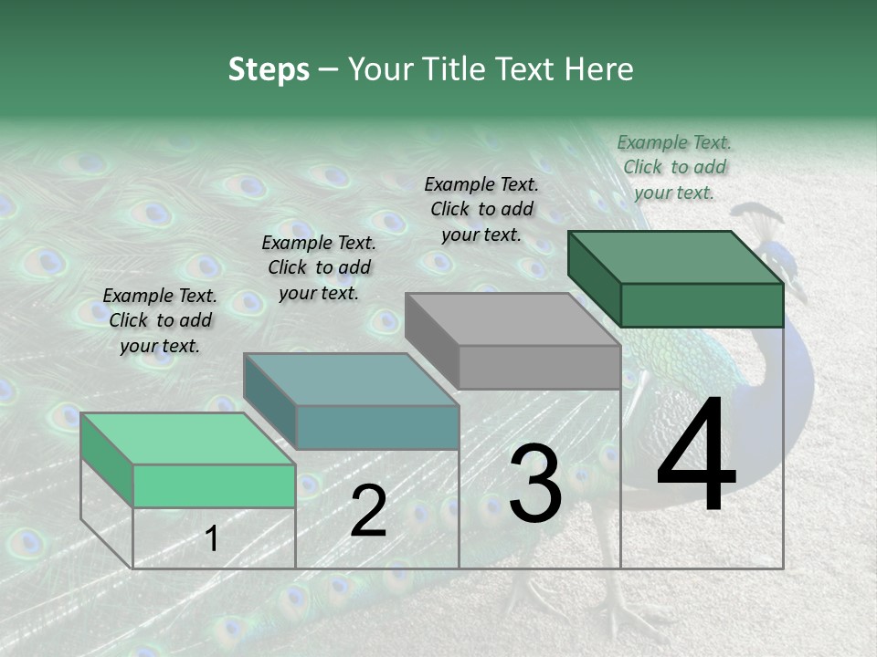 Peacock PowerPoint Template