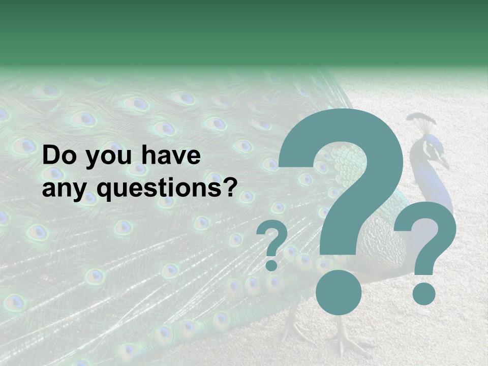 Peacock PowerPoint Template