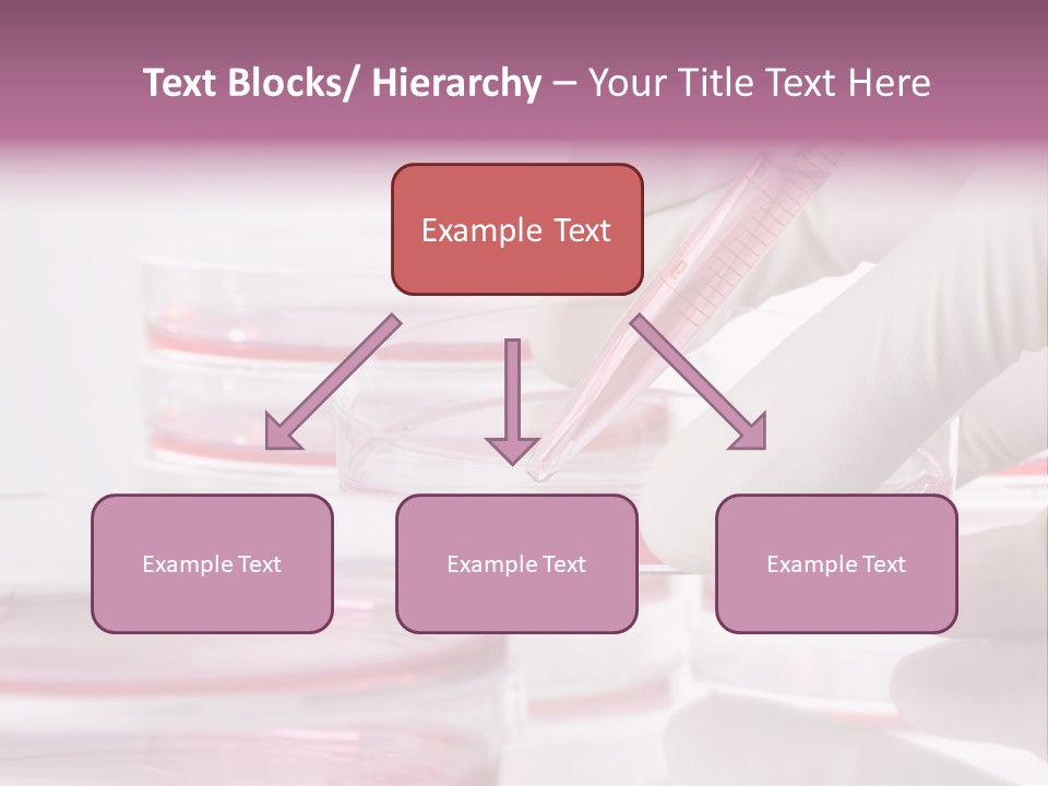 Research PowerPoint Template