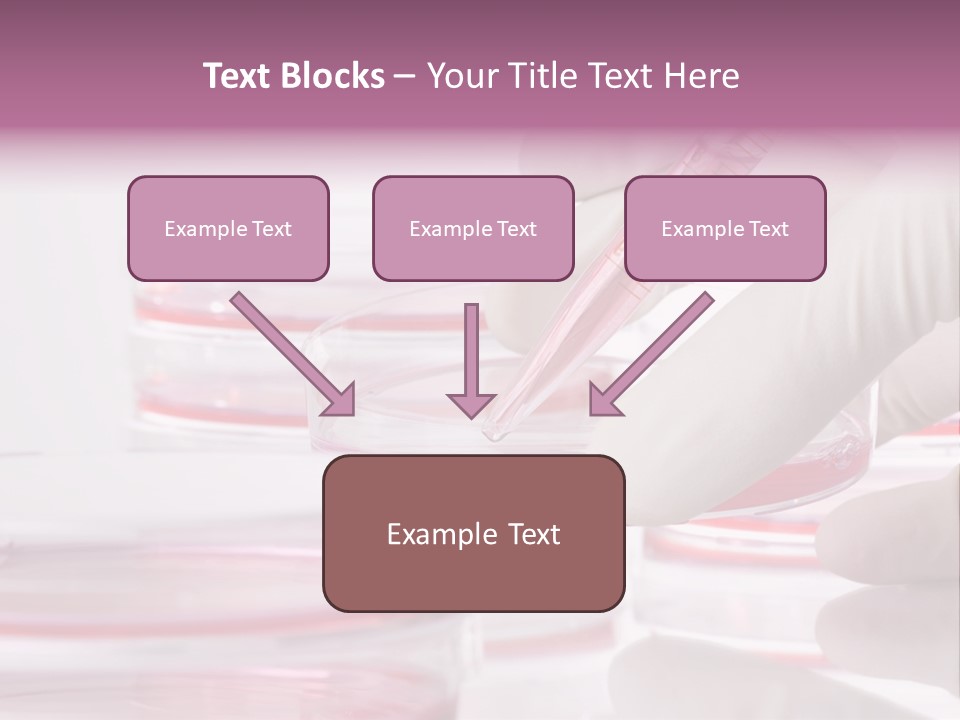 Research PowerPoint Template