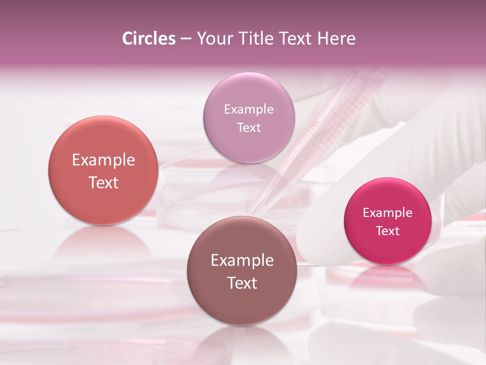 Research PowerPoint Template