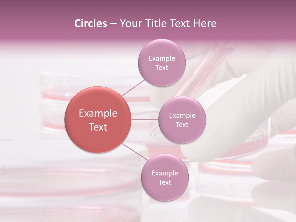 Research PowerPoint Template