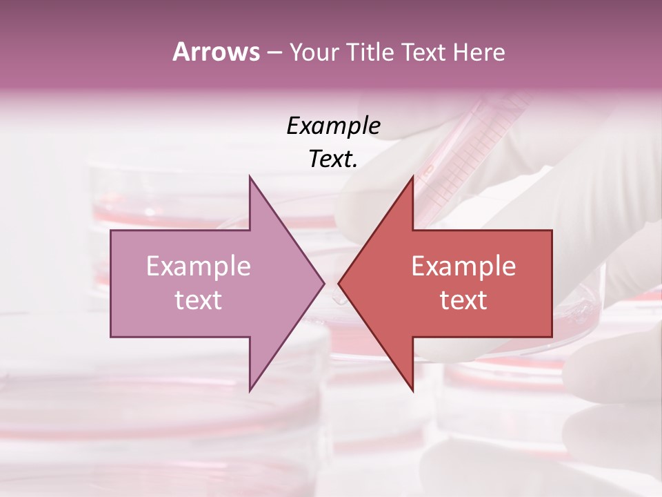 Research PowerPoint Template