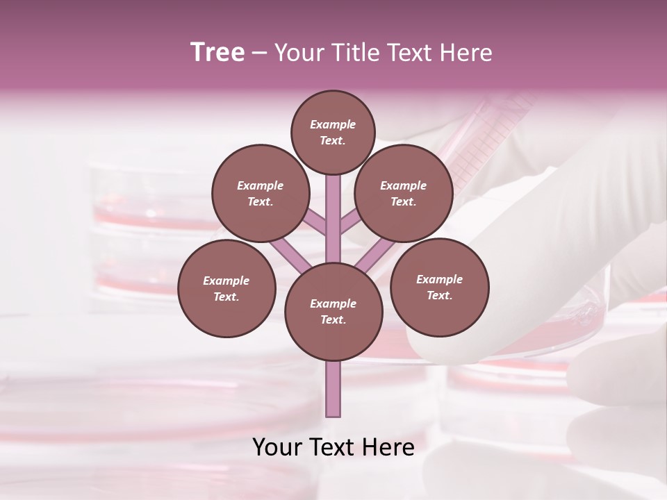 Research PowerPoint Template