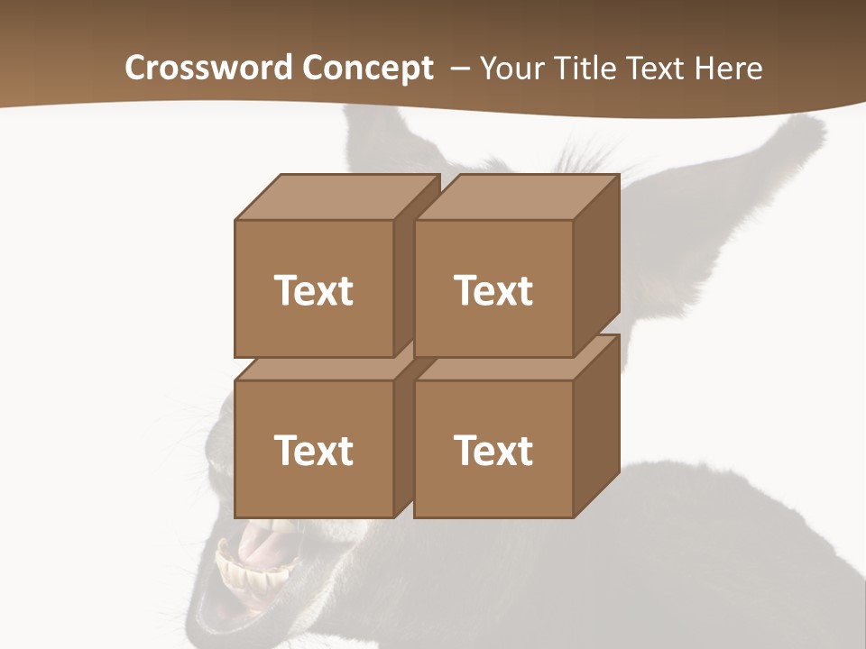 Donkey (4 Years) In Front Of A White Background PowerPoint Template