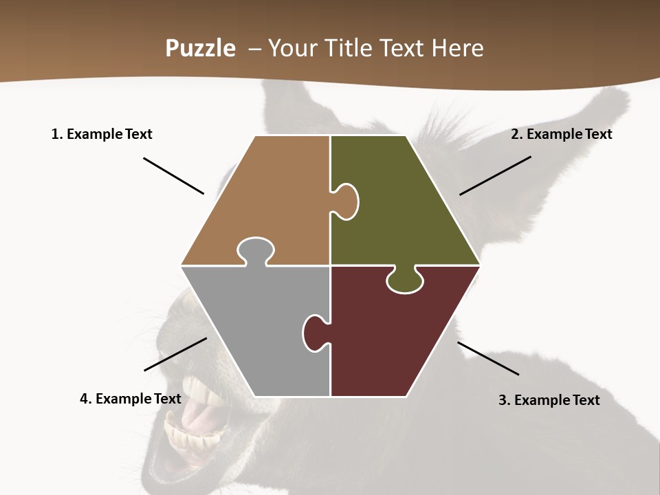 Donkey (4 Years) In Front Of A White Background PowerPoint Template