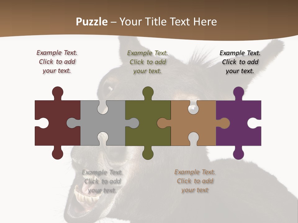 Donkey (4 Years) In Front Of A White Background PowerPoint Template