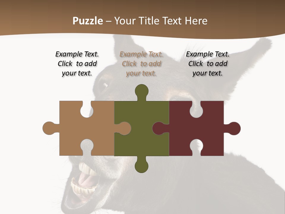 Donkey (4 Years) In Front Of A White Background PowerPoint Template