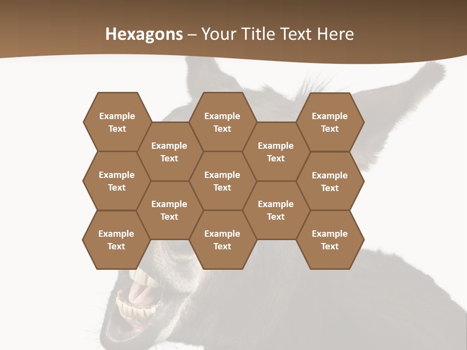 Donkey (4 Years) In Front Of A White Background PowerPoint Template