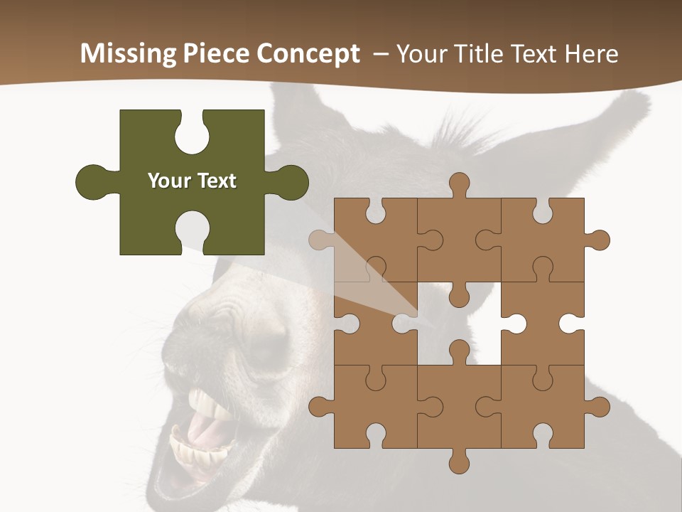 Donkey (4 Years) In Front Of A White Background PowerPoint Template