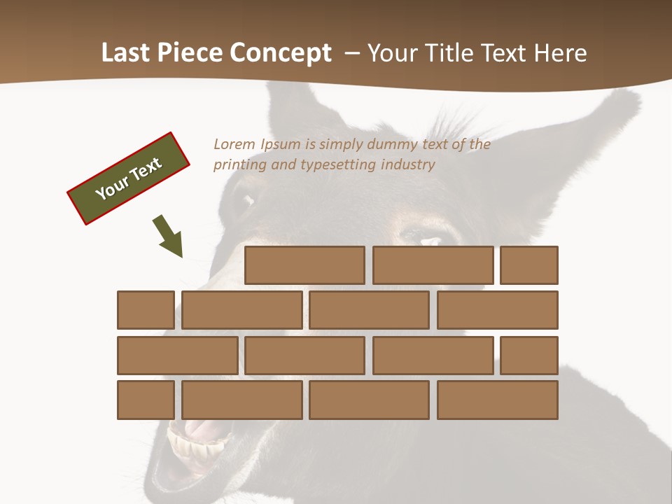 Donkey (4 Years) In Front Of A White Background PowerPoint Template