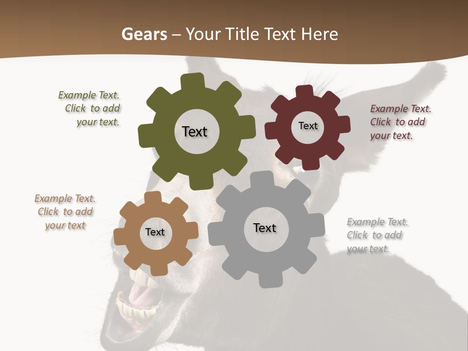 Donkey (4 Years) In Front Of A White Background PowerPoint Template