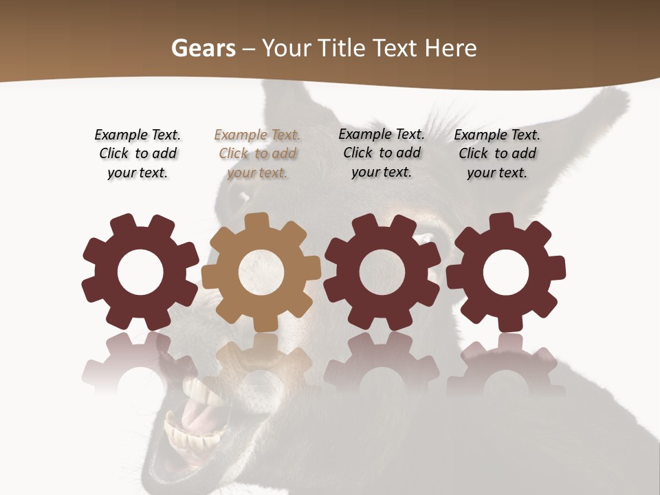 Donkey (4 Years) In Front Of A White Background PowerPoint Template