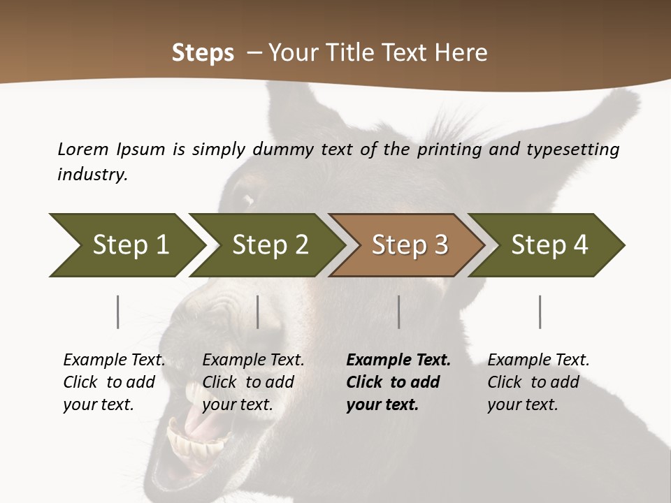 Donkey (4 Years) In Front Of A White Background PowerPoint Template