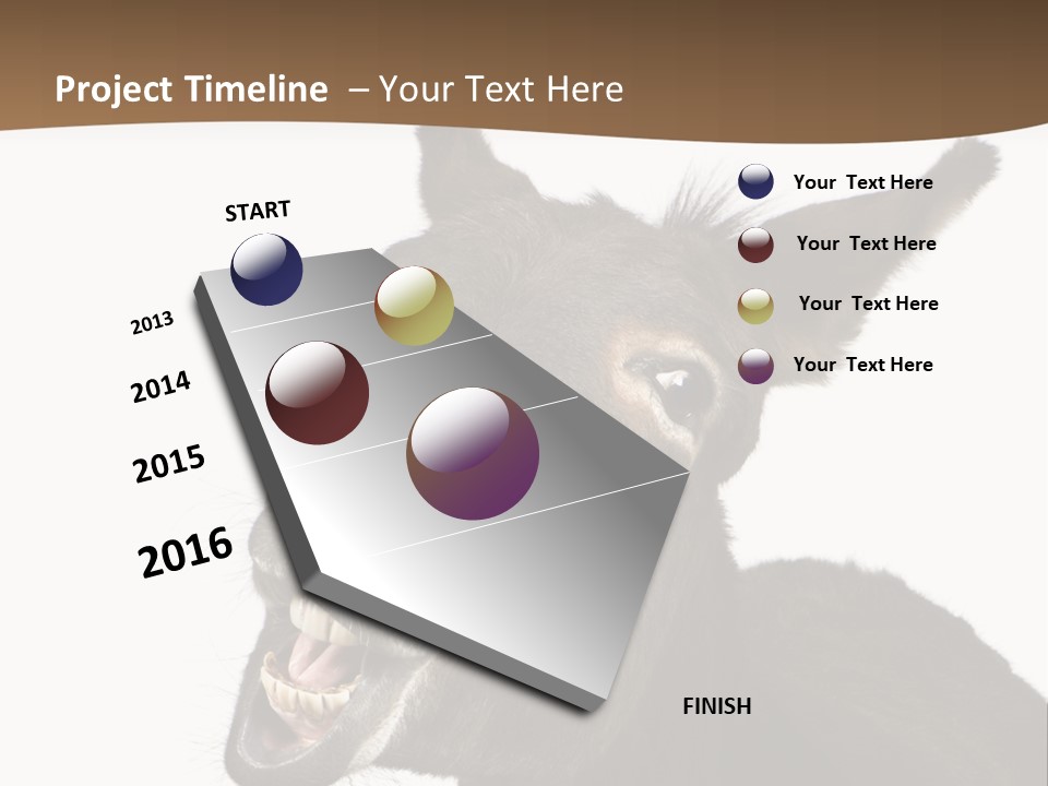 Donkey (4 Years) In Front Of A White Background PowerPoint Template