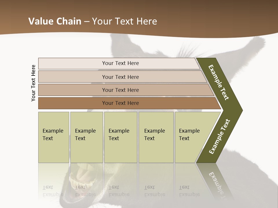 Donkey (4 Years) In Front Of A White Background PowerPoint Template