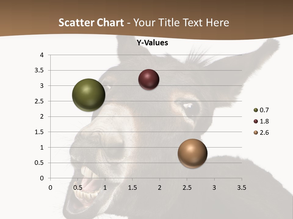 Donkey (4 Years) In Front Of A White Background PowerPoint Template