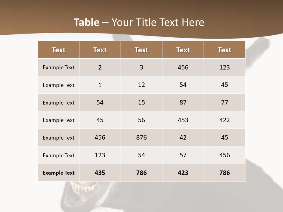 Donkey (4 Years) In Front Of A White Background PowerPoint Template