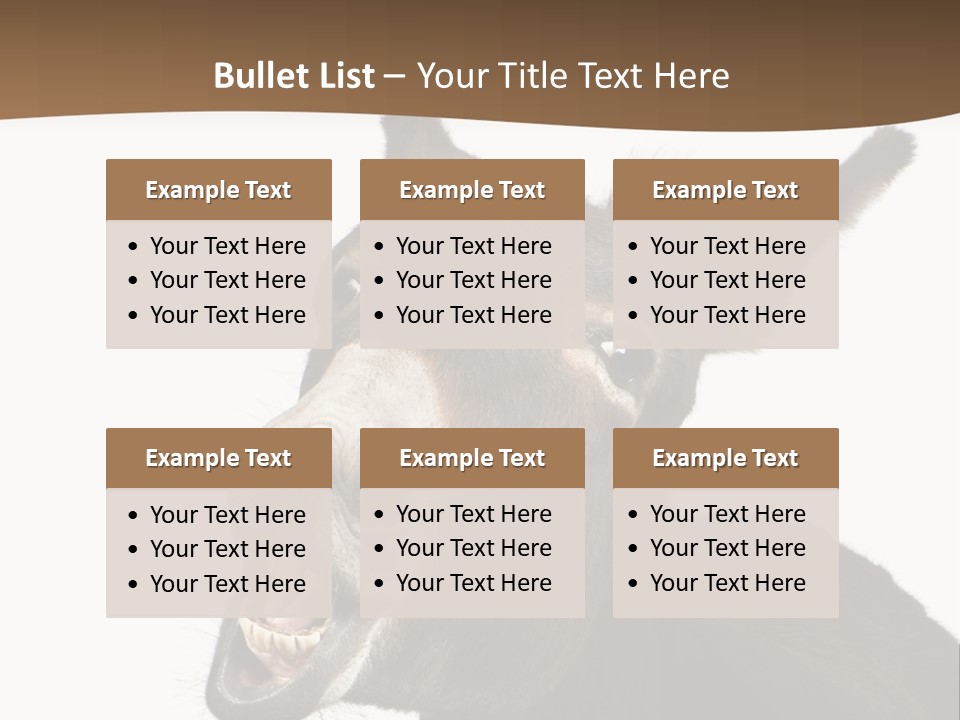 Donkey (4 Years) In Front Of A White Background PowerPoint Template