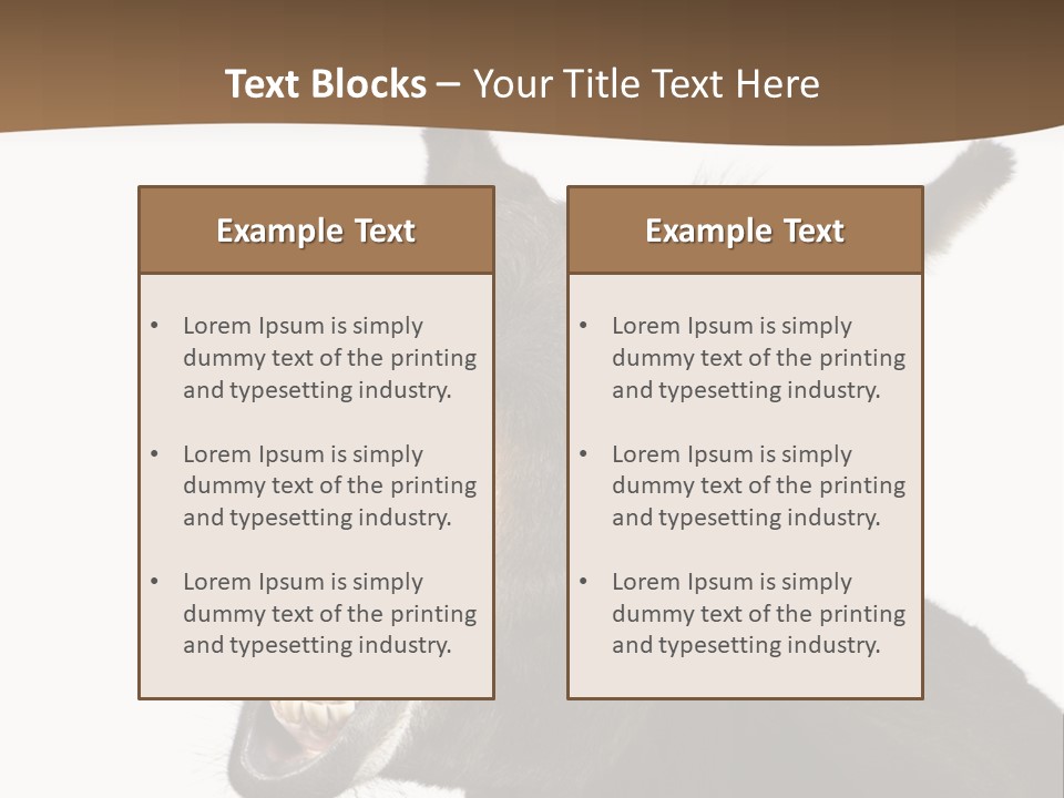 Donkey (4 Years) In Front Of A White Background PowerPoint Template