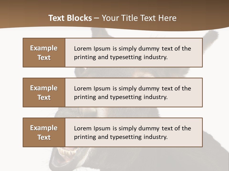 Donkey (4 Years) In Front Of A White Background PowerPoint Template
