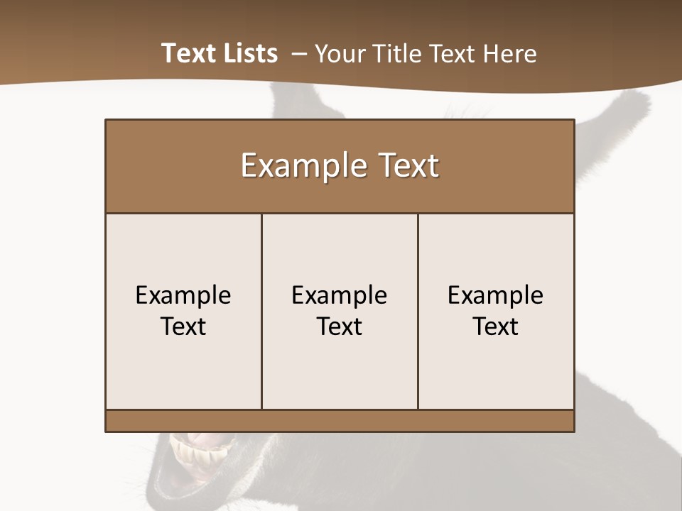 Donkey (4 Years) In Front Of A White Background PowerPoint Template