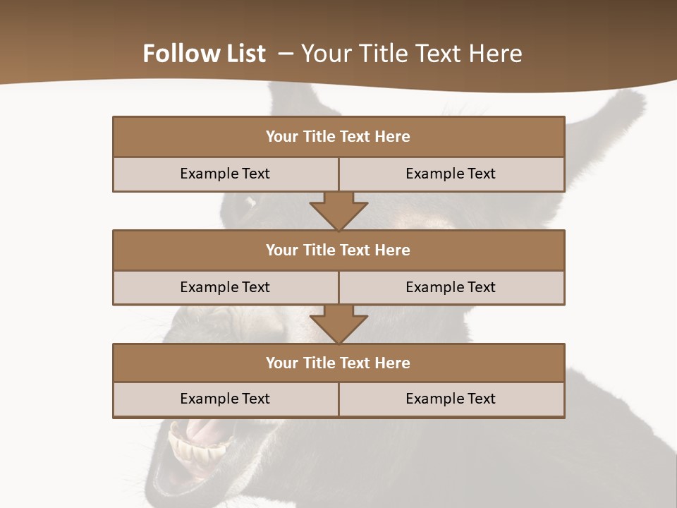 Donkey (4 Years) In Front Of A White Background PowerPoint Template
