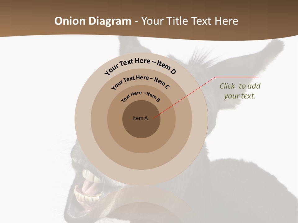 Donkey (4 Years) In Front Of A White Background PowerPoint Template