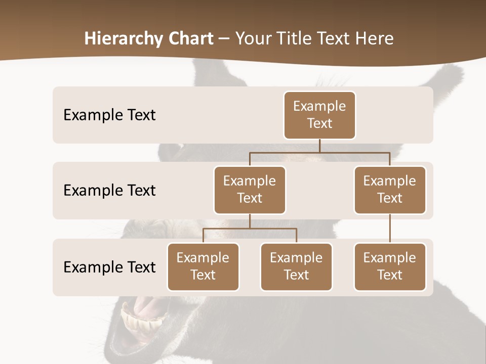 Donkey (4 Years) In Front Of A White Background PowerPoint Template