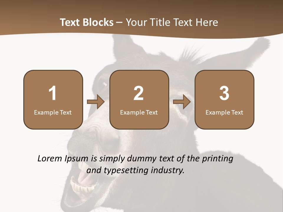 Donkey (4 Years) In Front Of A White Background PowerPoint Template