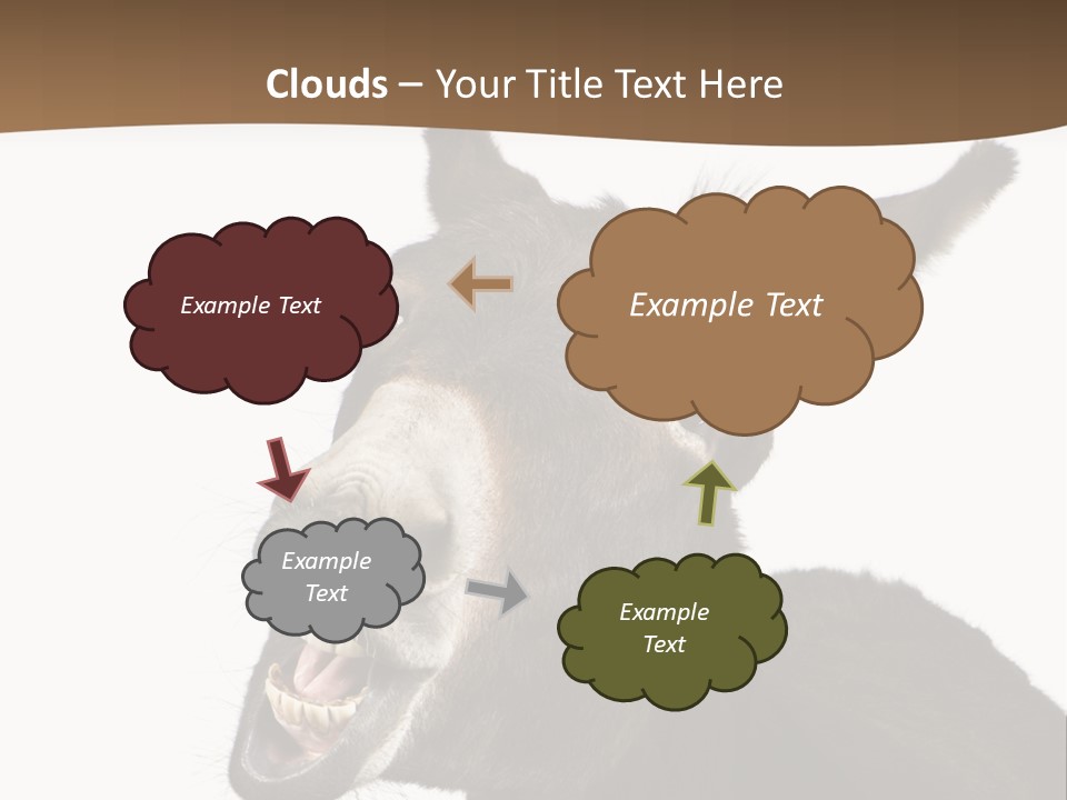 Donkey (4 Years) In Front Of A White Background PowerPoint Template